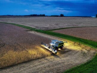 Safra de Soja 2025/26