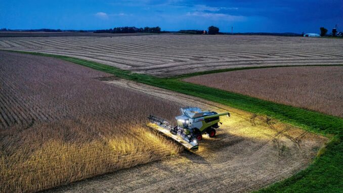 Safra de Soja 2025/26